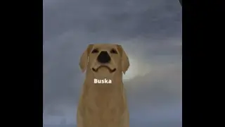 Dog Online | Быстрый обзор на игру