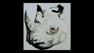 The Last Black Rhino - Every Wave