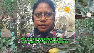 25 December Christmas Day ka garden update 🎄👍⛅🥦☘️🥳