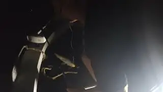 d3w