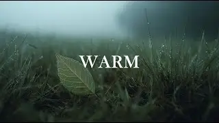 Slow Peaceful Piano for Stress Relief | Deep Work and Study Focus