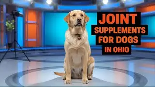 Joint Supplements for Dogs in Ohio