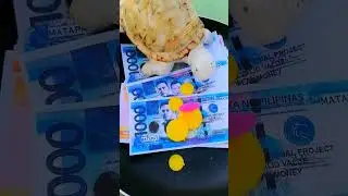 Cheering Applause, 👏Dropping Fake Money 💵💰🤑#shorts #viral
