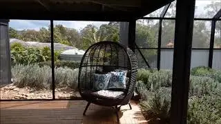 How to Keep ducks out of your swimming pool