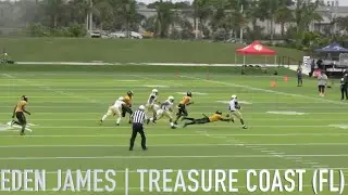 Eden James, son of Edgerrin James, rushes for nearly 300 yards & 2 TDs in win over American Heritage