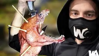 Este Pez Es Indestructible