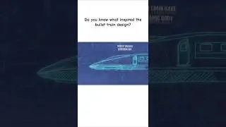 How a Bird Solved the Bullet Train Problem! 🚄 #shinkansen #railway #nature