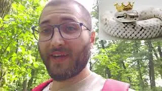 A BEAUTIFUL SMALL TOWN IN CZECH REPUBLIC! VLOG IN SOBOTKA!