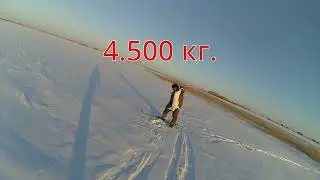 Охота на зайца.  20 января 2026г.