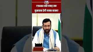 Haryana CM Nayab Saini ki sarkar de rahi ₹15,000 per acre tak ka muawza | The Airnews