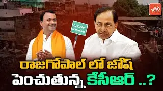 CM KCR Girijana Bandu Effect New Joosh In Komatireddy Rajagopal Reddy | Munugode Bypoll | YOYO TV