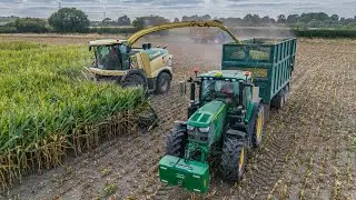 Maize harvest 2025 UK 4KUHD Bob Strange in his Krone BIG X 780