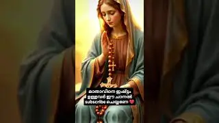 മാതാവേ ❤️🙏