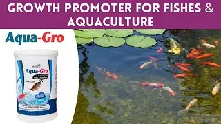 Aqua-Gro - Growth Promoter For Fishes