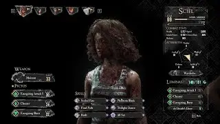 Expedition 33 Solo Sciel Build Setup for Bald Mime Superboss Sunless Cliffs