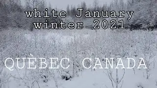 Pandemic lockdown winter in Qu&egrave;bec CANADA...Enjoying white cold winter around our place 😌