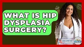 What Is Hip Dysplasia Surgery? - Ask A Pet Vet