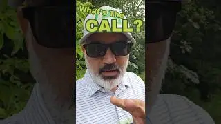What's the Call Golf!? #golf #shorts #funny #reversemulligan