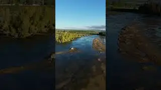 Wetlands #shorts #drone #dji #fpv #cinematic #fpvdrone #nature