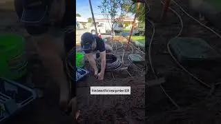 Subsurface drip irrigation installation in Perth, Western Australia.