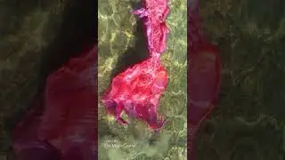 A pretty pink mermaid tail