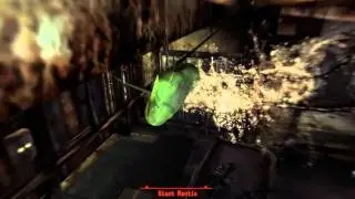 Fallout New Vegas Power Armor Training guide - (Part 13 of 21)