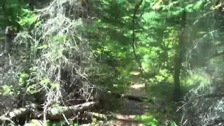 beartrap  lake to beartrap river #1