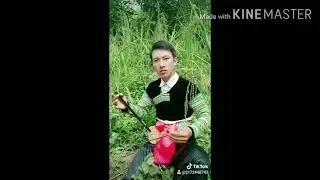 Suab xim xaus kho siab ( Yiag Thoj)