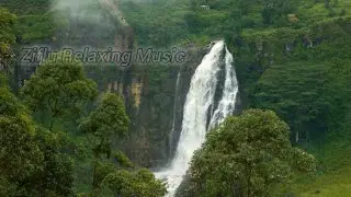 The Sound of a Clear blue and Clear river the chirping of birds [study, sleep, relaxation,ASMR]