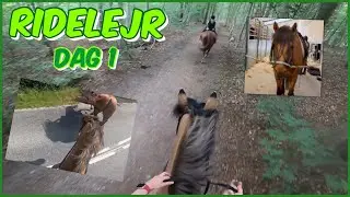 Ridelejr 2023 | DEL 1 | Skovtur