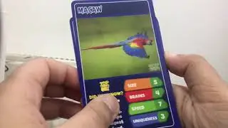 Opening jungle animals top trumps pack