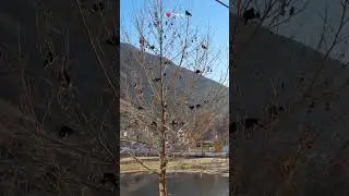 #mountains #islamic #islamicstatus #love #viralshorts #video #winter #islamicstatus #rasoolallah #l