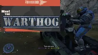Meet the warthog | Halo highlights