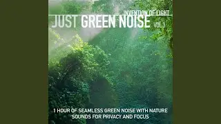 River Sounds and Green Noise for Calming Dogs