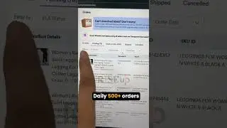 How We Got 500+ Daily Orders on Meesho! 🔥 | Real Ecommerce Success Story