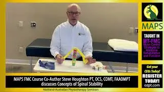 Conceptualizing Spinal Stability