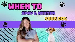 Licensed Veterinarian Explains the Research