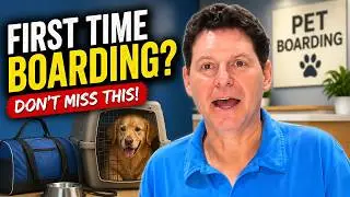 ⭐First Time Boarding Your Dog? Watch This!