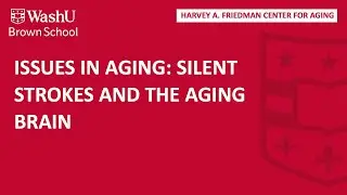 Issues in Aging: Silent Strokes and the Aging Brain