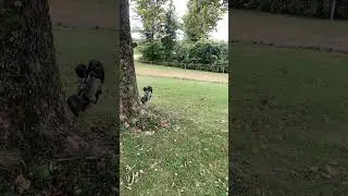 Element Gatekeeper doing backflips!😵&zwj;💫😯