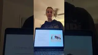 Comparative anatomy project 