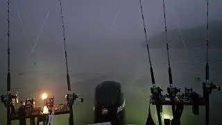 Foggy Night on the Tennessee River / Grinding for Catfish #boating #outdoors 
