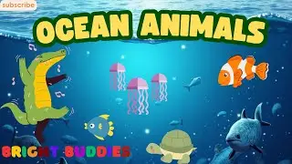 Ocean Animals Song for Kids | Learn Sea Creatures with Fun Music & Animation