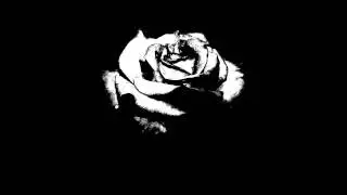 Traversable Wormhole - Traversing The Asteroid Belt (Monoloc Remix)