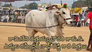 రెంటచింతల న్యూ కేటగిరి 7జత. రామినేని రత్తయ్య చౌదరి గారు.&.ఎద్దుల రవీందర్ నాథ్ రెడ్డి గారు