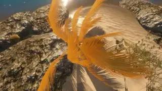 строительство дома (STRANDED DEEP)