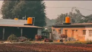 Perumala palli ❤️&zwj;🔥