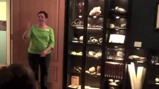Wonder Cabinet: A Collection of Curiosities