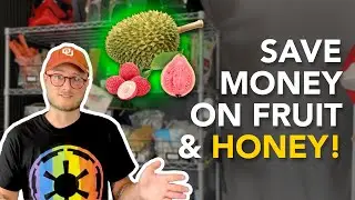How to make mead and wine CHEAP - get honey & fruit for less $$$