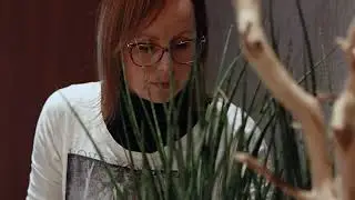Plantart Vir&aacute;gk&ouml;t&eacute;szet 2